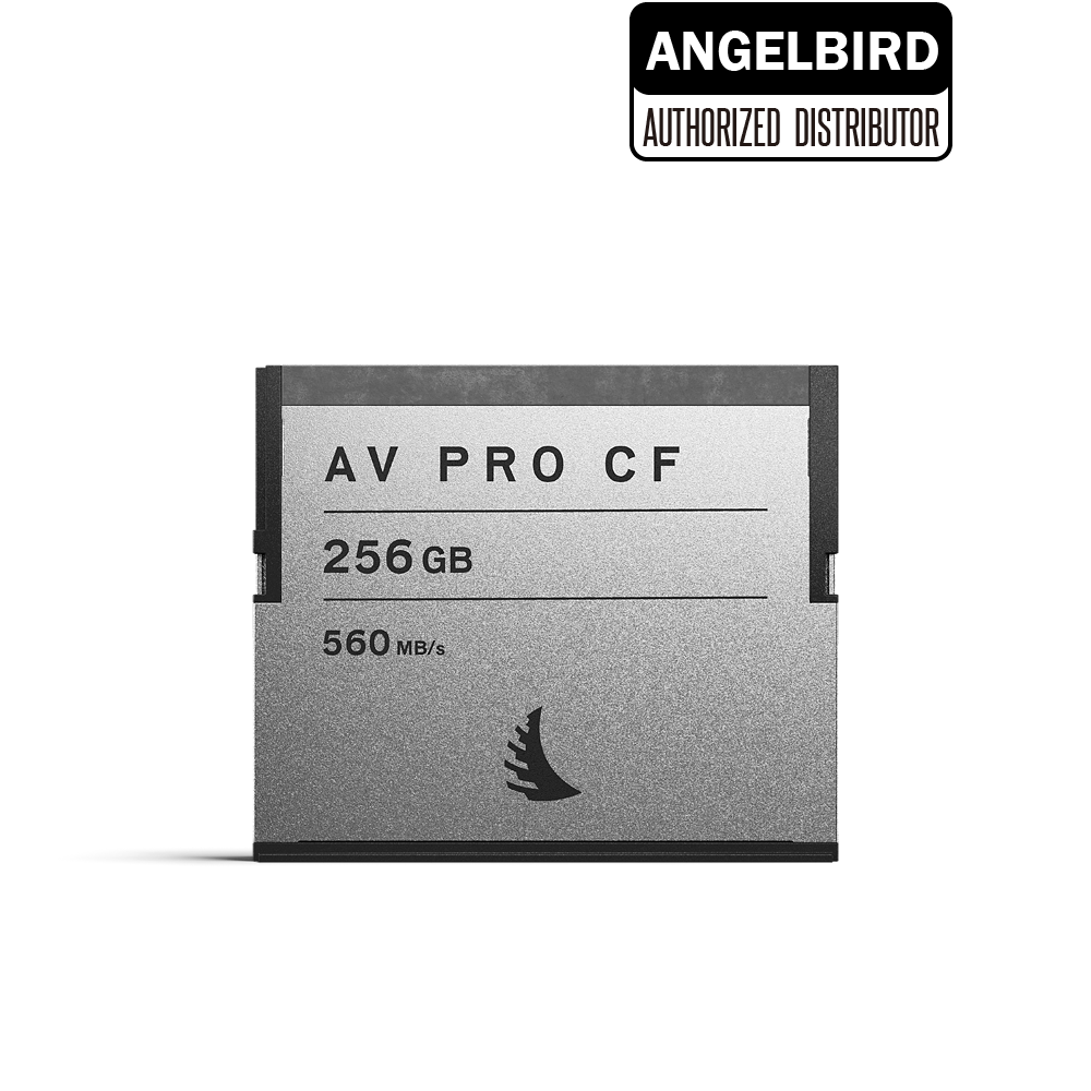 엔젤버드 AV PRO CFast 2.0 256GB